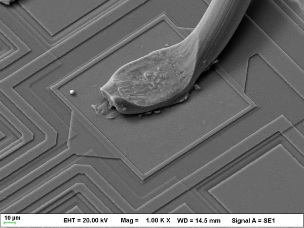 1637301252798415.png 永川蔡司.png