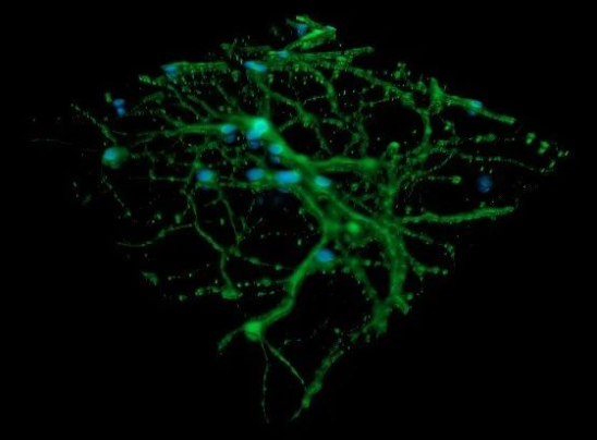 1642736090334605.png image.png